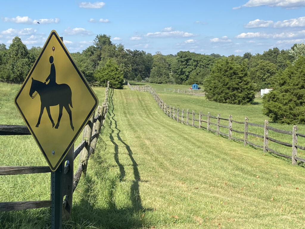 Whiting's Neck Farm Estates Pastures